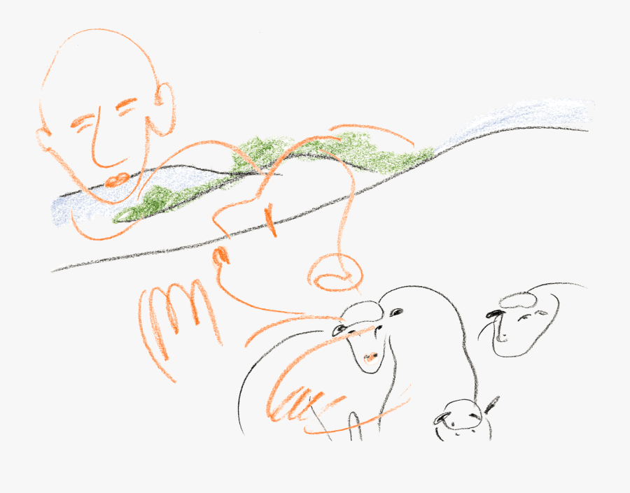 Drawing, Transparent Clipart