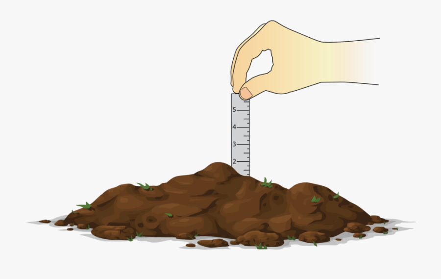 Seed Depth, Transparent Clipart