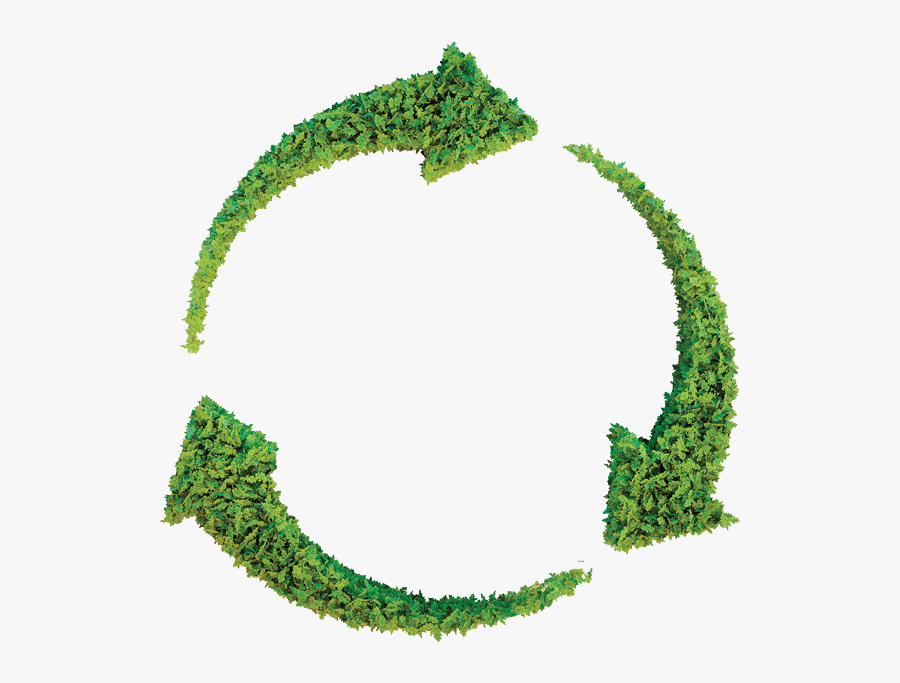 Future Sustainability, Transparent Clipart