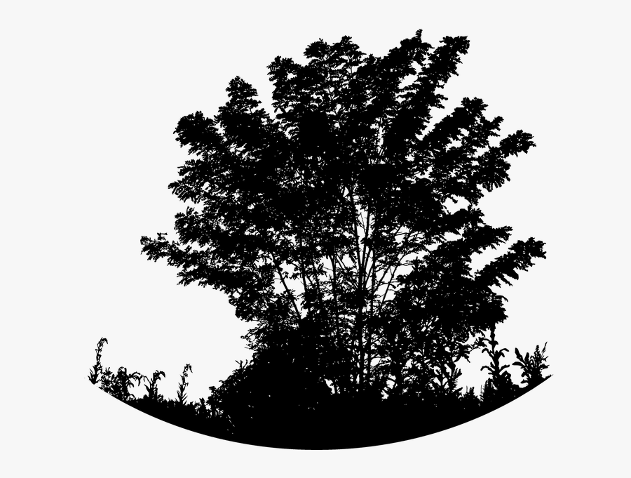 Nature Silhouette Black Png, Transparent Clipart