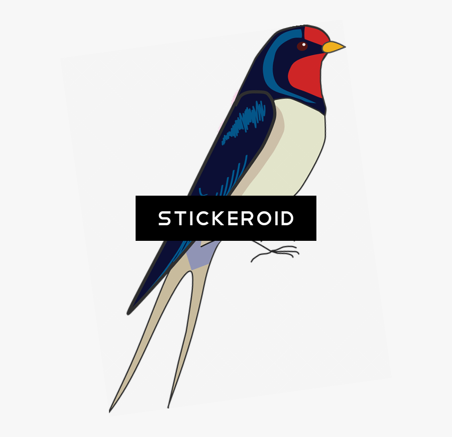 Barn Swallow S Birds - Achieve The Core, Transparent Clipart