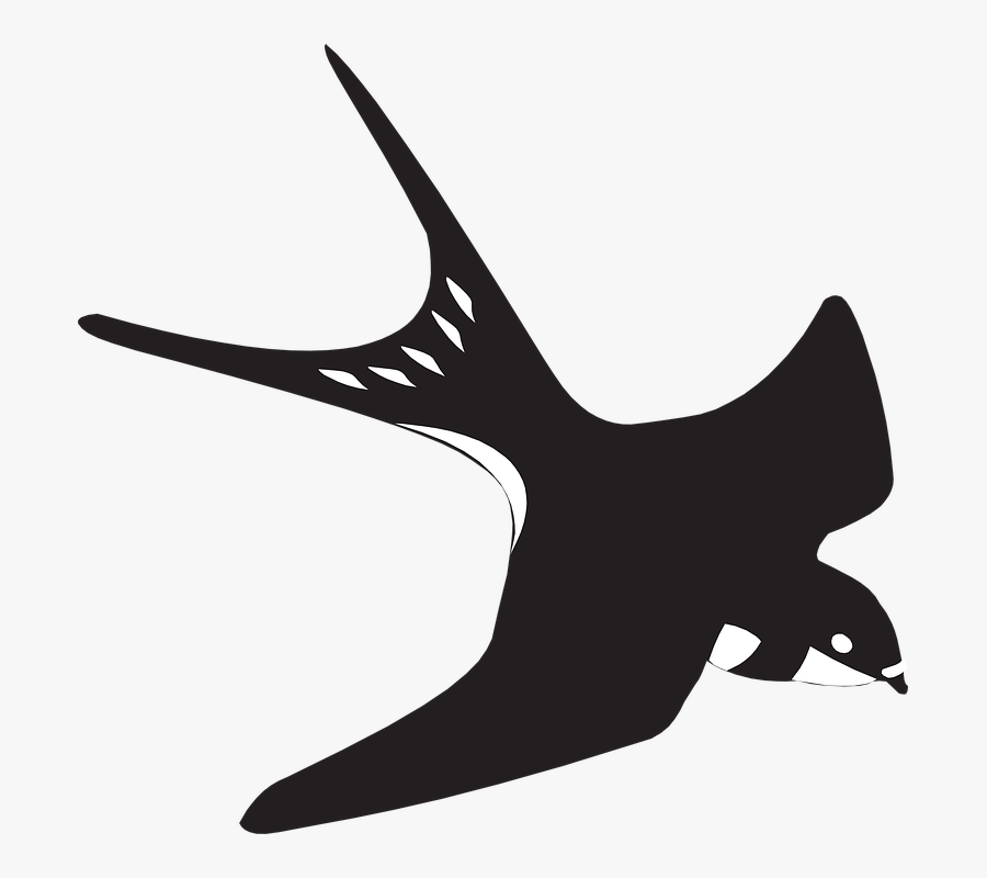 Transparent Swallow Bird Clipart - Martin Bird Png, Transparent Clipart