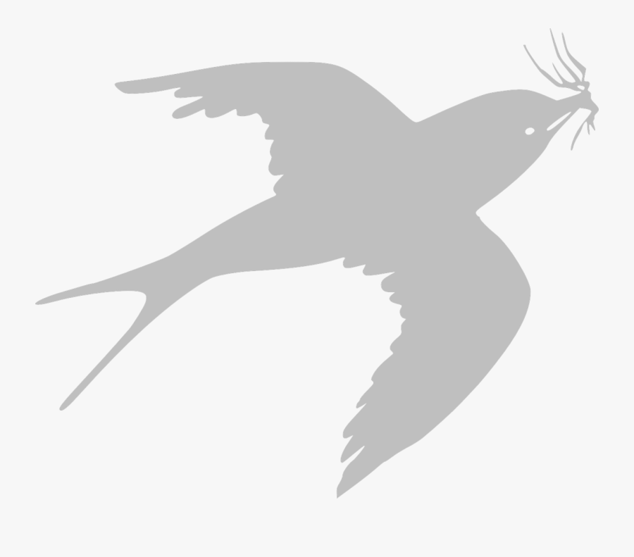 Flying Gray Bird Png, Transparent Clipart