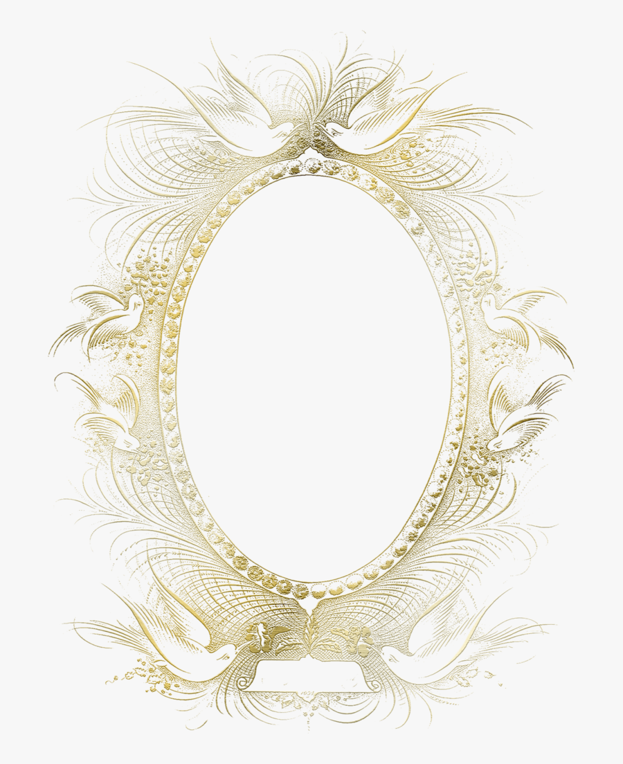 Circle, Transparent Clipart