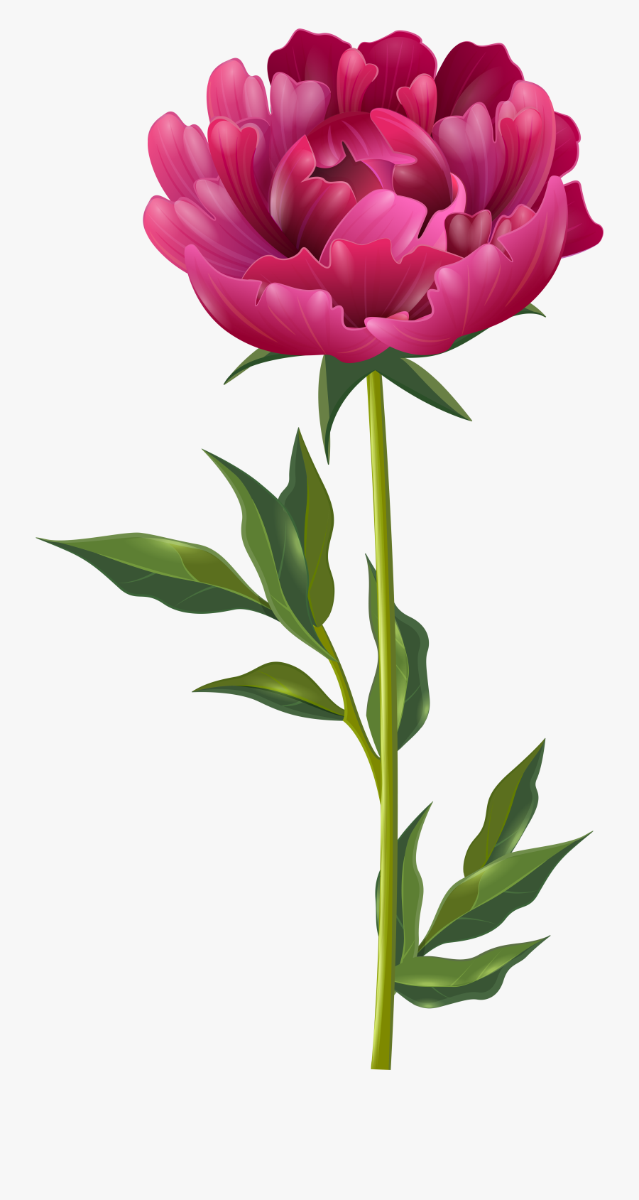 Pink Peony Png Clip Art Imageu200b Gallery Yopriceville - Peony Clipart Png, Transparent Clipart