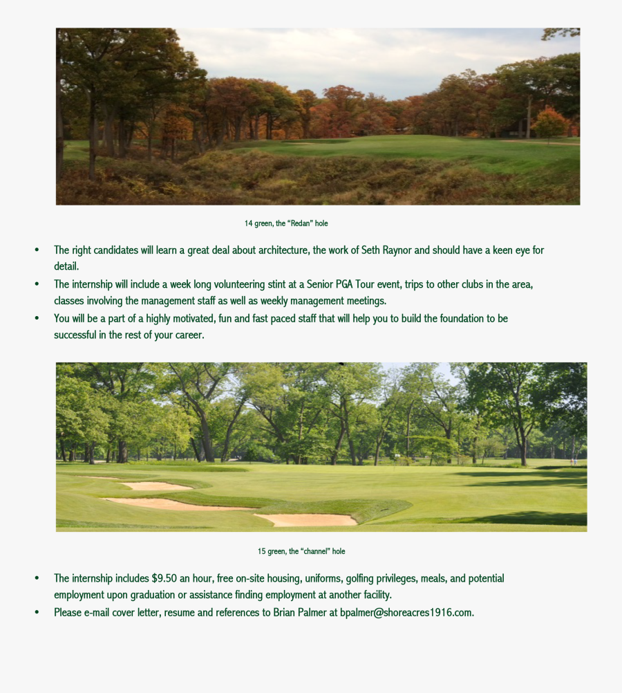 Tree, Transparent Clipart