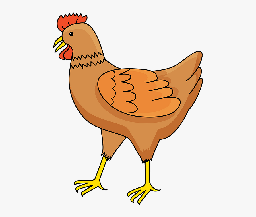 Rooster, Transparent Clipart