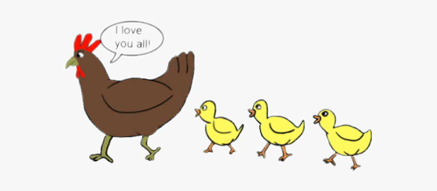 #chickens #hen #chicks #animals - Cartoon, Transparent Clipart