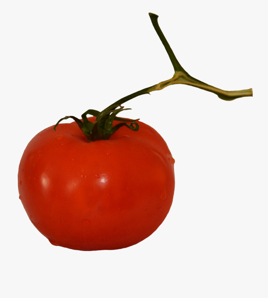 Tomato On Stem, Transparent Clipart