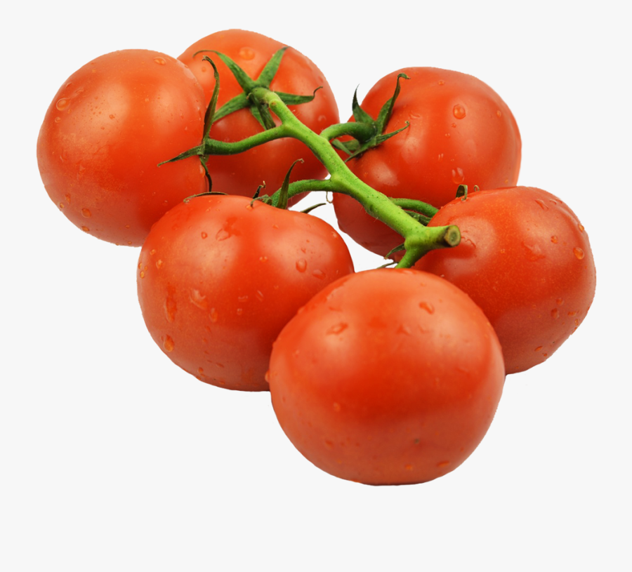 Tomatos On Stem, Transparent Clipart