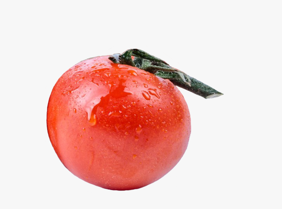 Single Tomato Clipart - Plum Tomato, Transparent Clipart