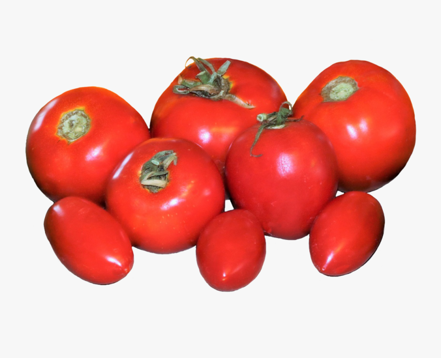 Fresh Tomatoes Clipart - Plum Tomato, Transparent Clipart
