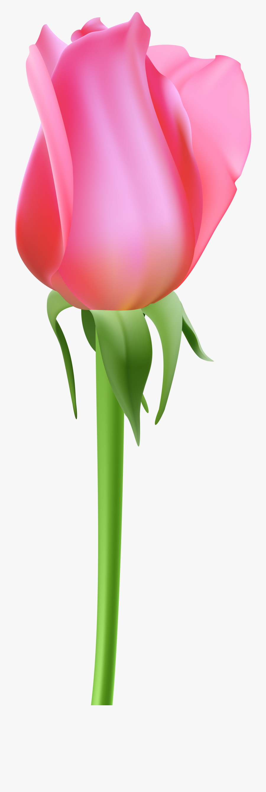 Pink Rose Bud Clipart, Transparent Clipart