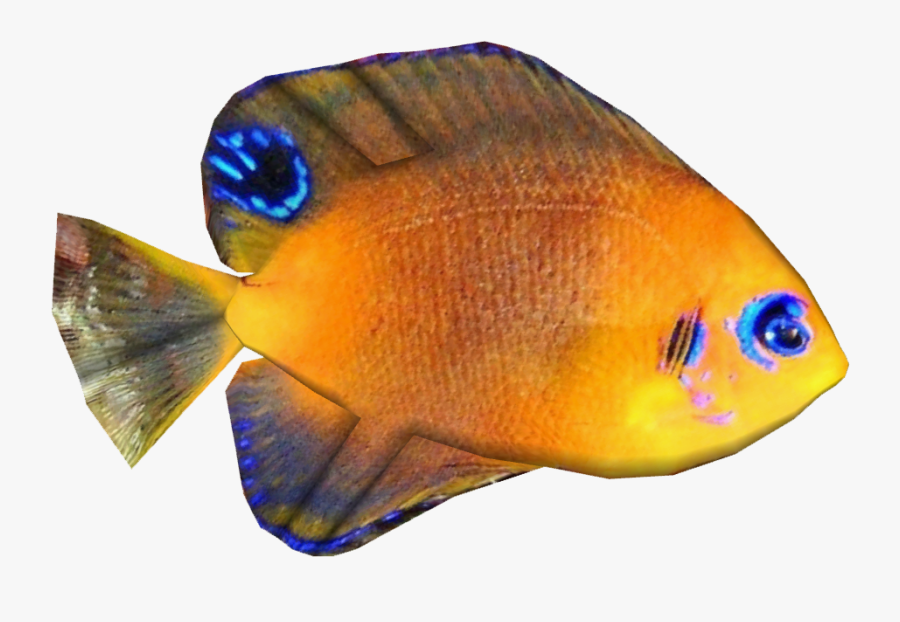 Snapper, Transparent Clipart