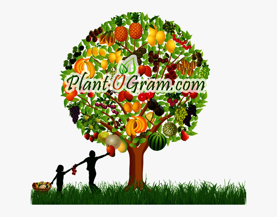 Original - Tree Fruits Clipart, Transparent Clipart