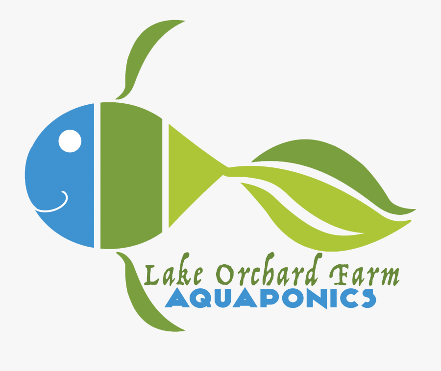 Lake Orchard Aquaponics - Pomacentridae, Transparent Clipart