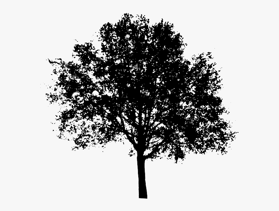 Tree Silhouette Clip Art - Transparent Tree Silhouette Vector, Transparent Clipart