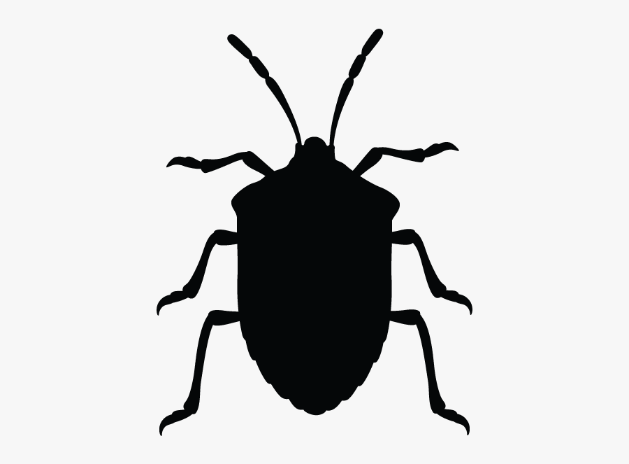 Bed Bugs In Minnesota Homes - Bug Clipart, Transparent Clipart