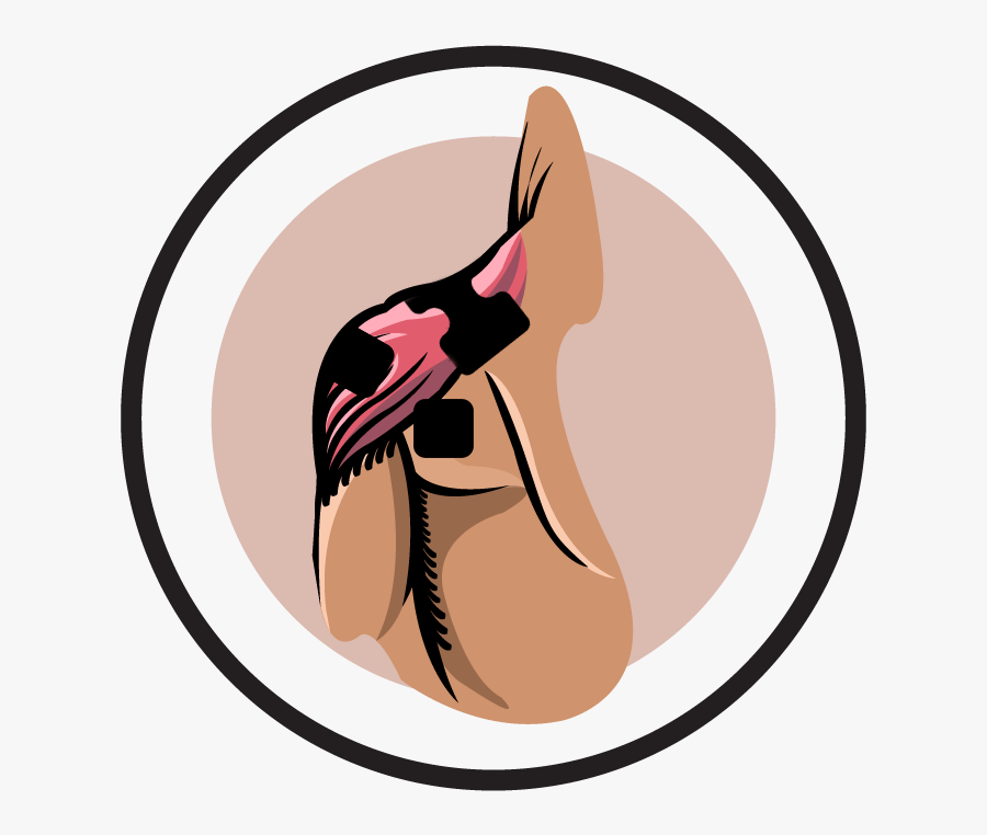 Electrode Pad Placement By - Illustration, Transparent Clipart