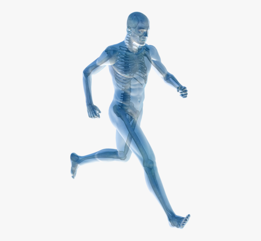 Human Body Joint Pain Pain Management Physical Therapy - Human Body Icon Png, Transparent Clipart