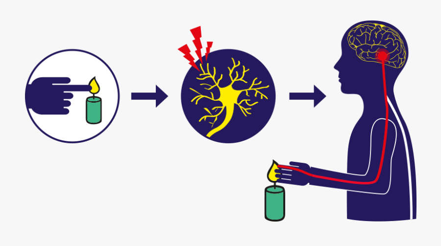 Pain Clipart , Png Download, Transparent Clipart