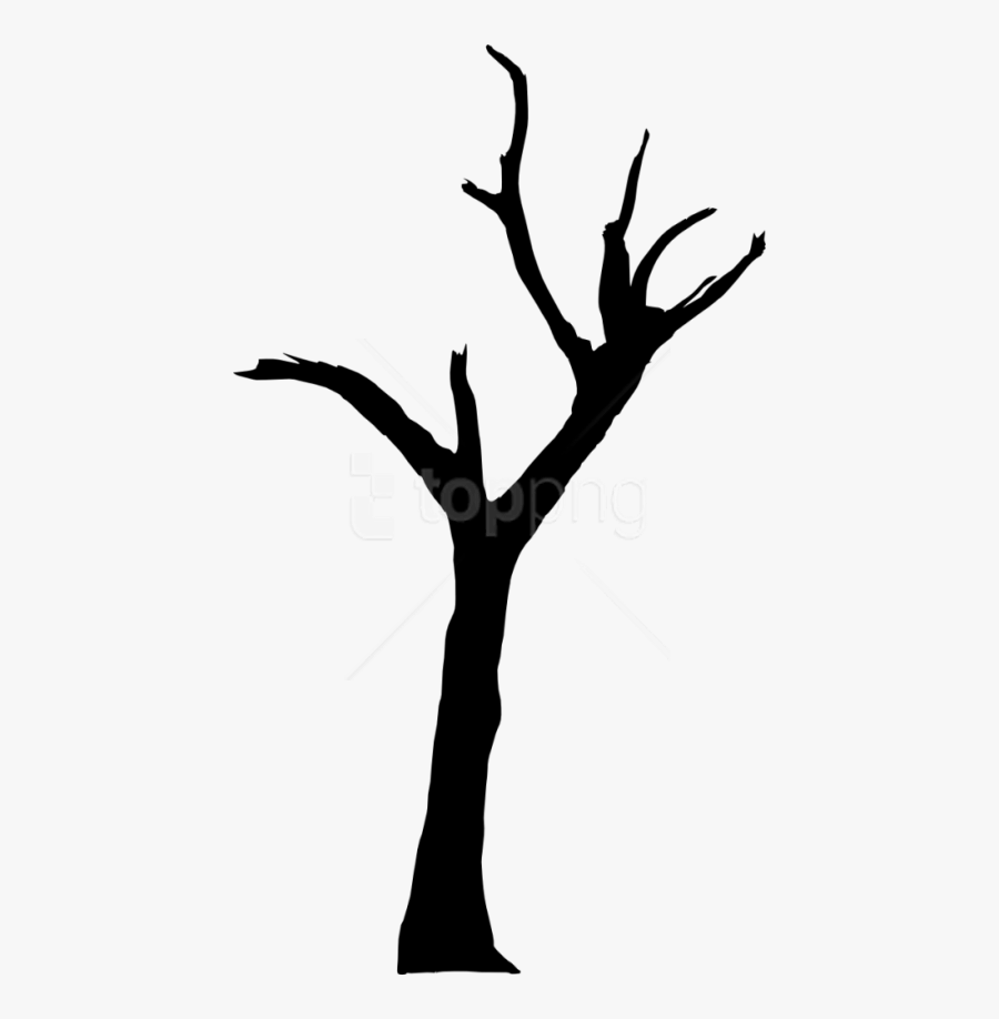 Branch,tree,black And Photography,gesture,clip Art,trunk,twig - Deadvlei, Transparent Clipart