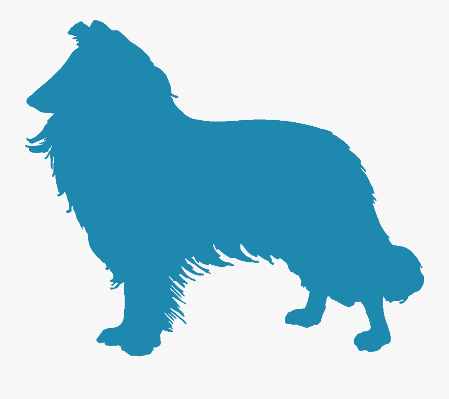 Collie - Dog Jumps, Transparent Clipart