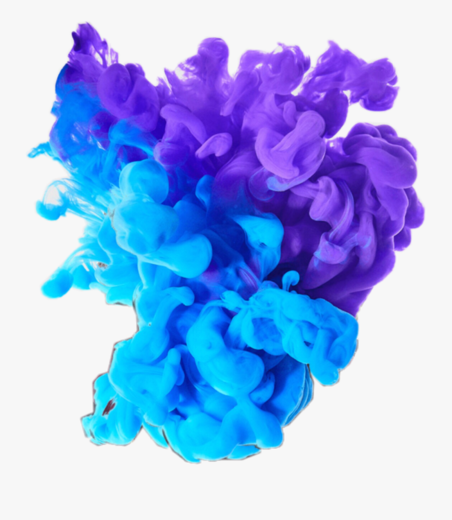 What’re Your Favorite Colors - Artificial Flower, Transparent Clipart