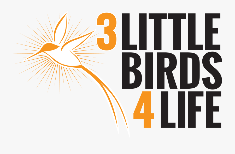 Little Birds Life - 3 Little Birds 4 Life, Transparent Clipart
