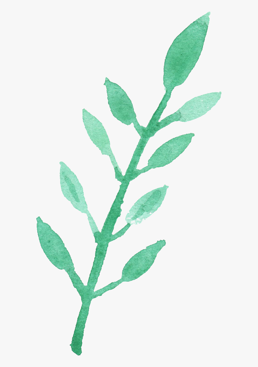 Water Color Leaves Png - Watercolor Leaf Clip Art, Transparent Clipart