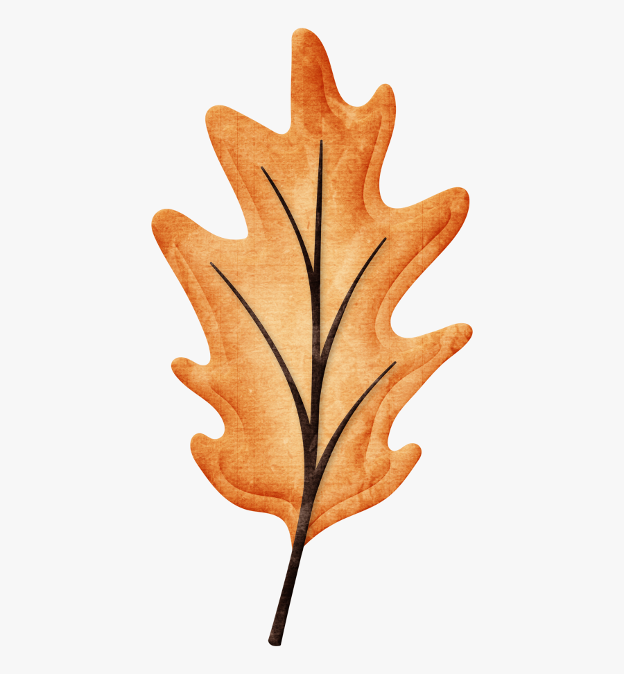 Gambel Oak, Transparent Clipart