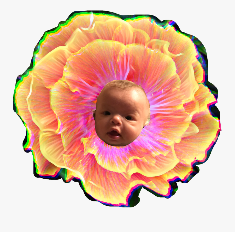 Baby, Transparent Clipart