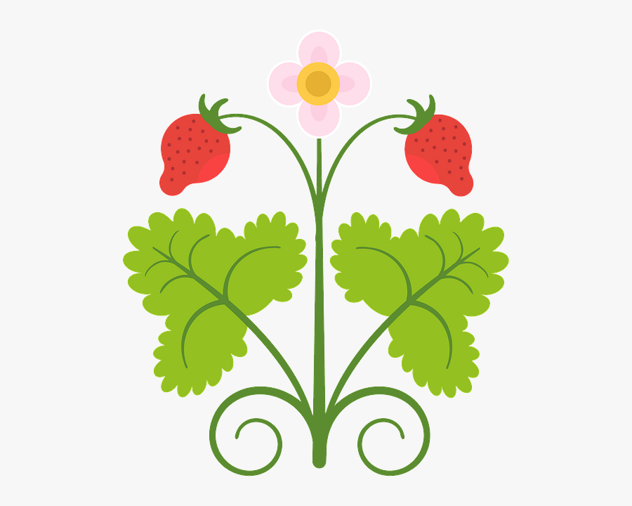 Clip Art, Transparent Clipart