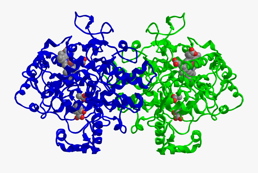 Cox-2 Inhibited By Aspirin - Aspirin Cox Structure, Transparent Clipart