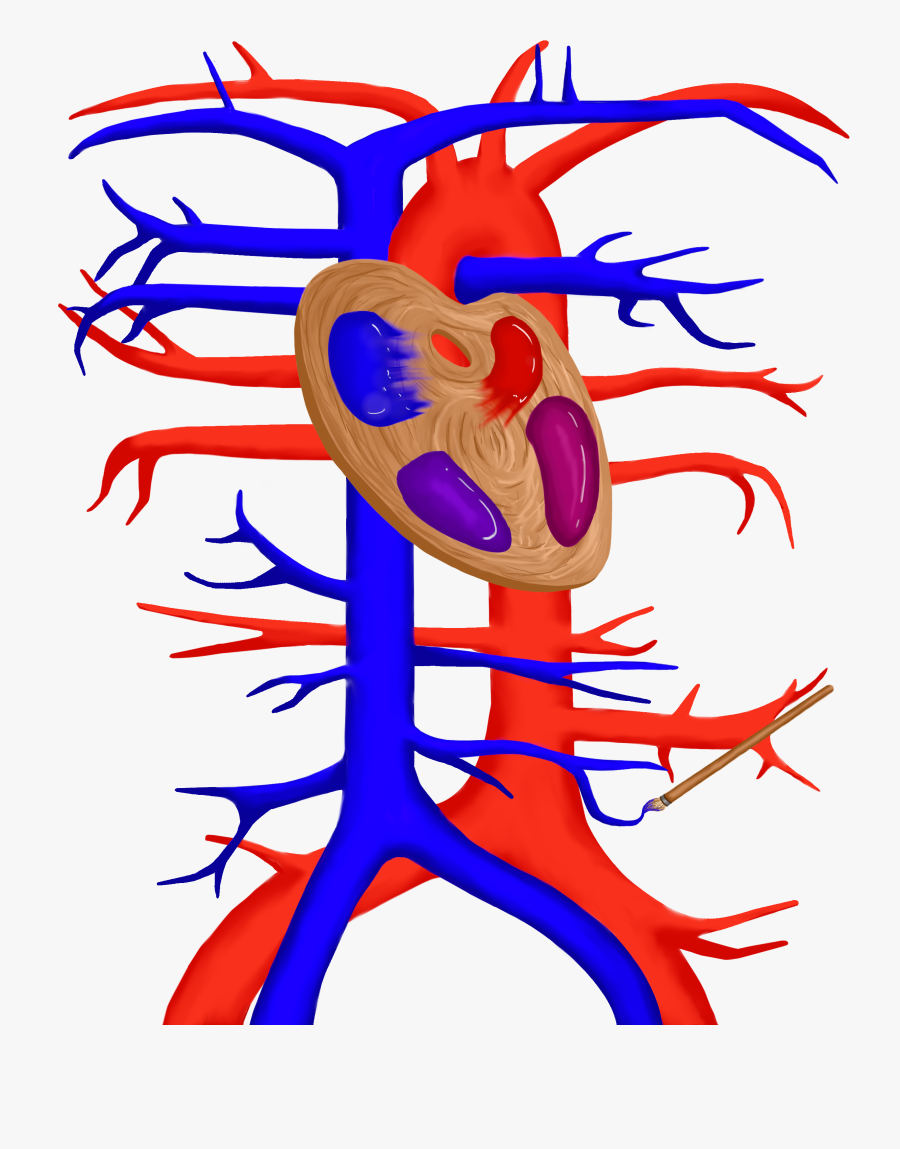 This Is My Entry For The Draw With Jazza Challenge - Illustration, Transparent Clipart