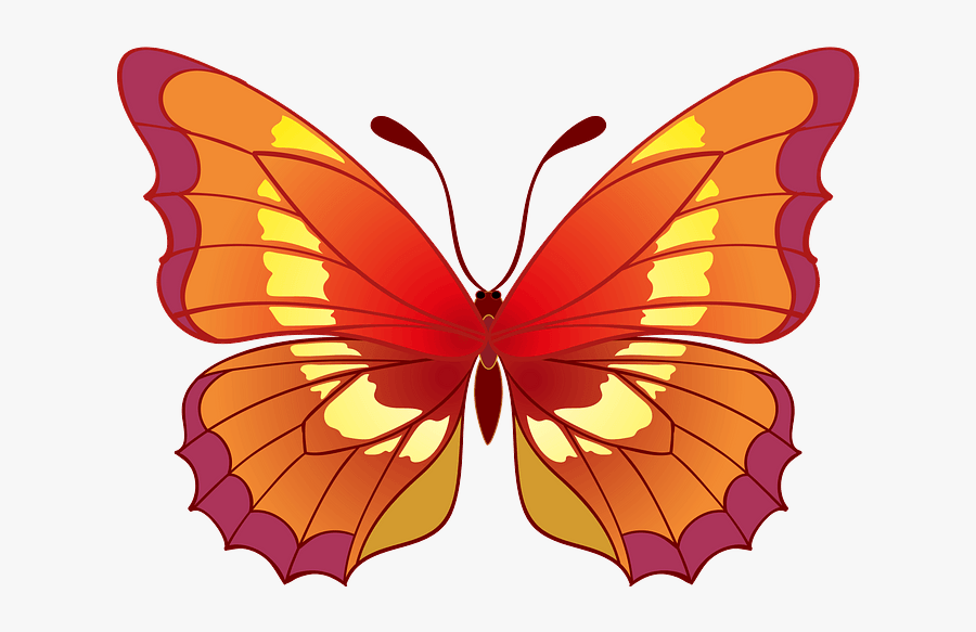 Brush-footed Butterfly, Transparent Clipart