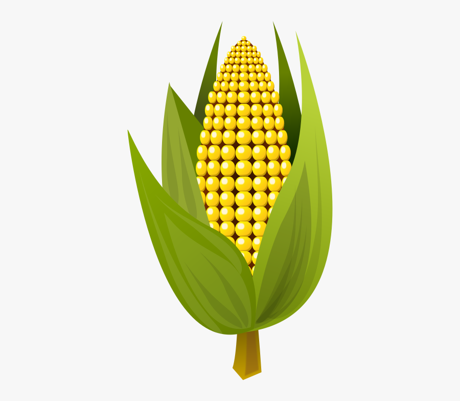 Medium Image Png - Small Picture Of Corn, Transparent Clipart