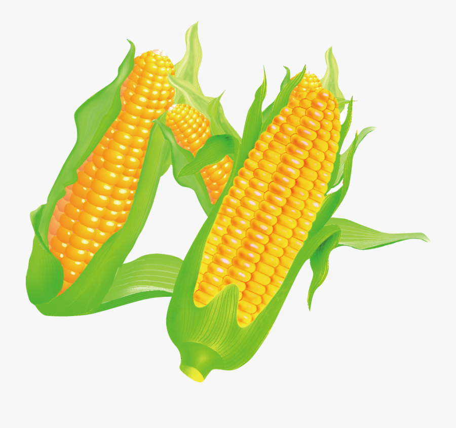 Corn On The Cob Maize Food - Corn On The Cob, Transparent Clipart