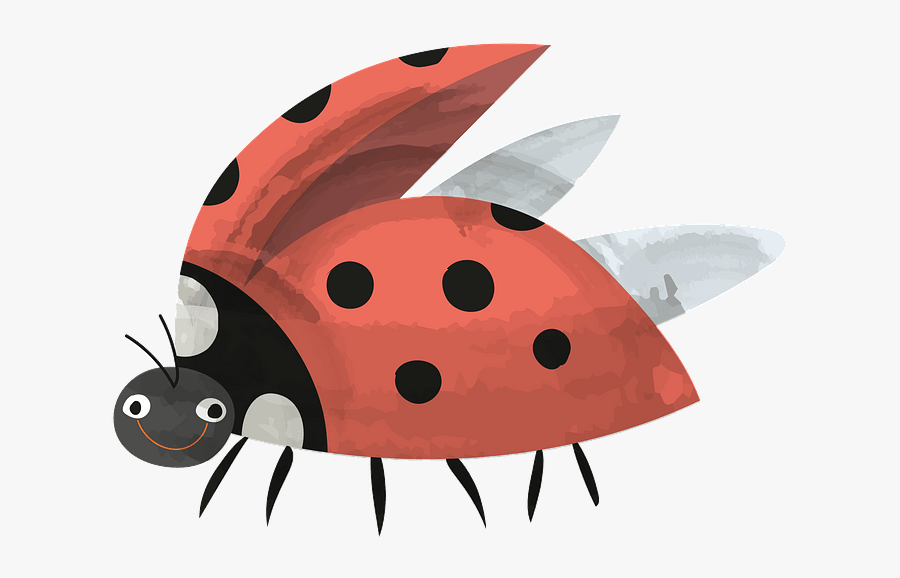 Ladybug, Transparent Clipart