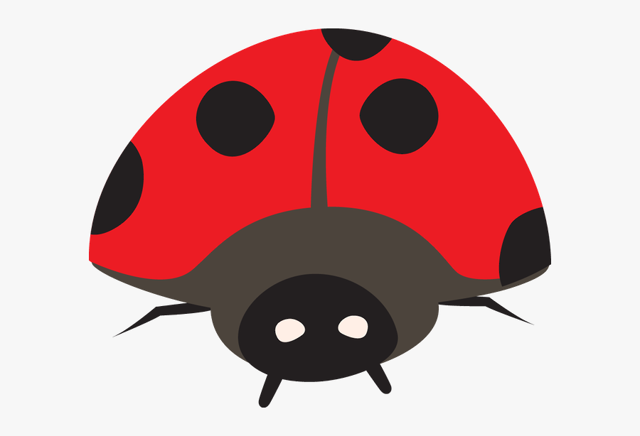 Ladybug Clipart , Png Download - Ladybug, Transparent Clipart