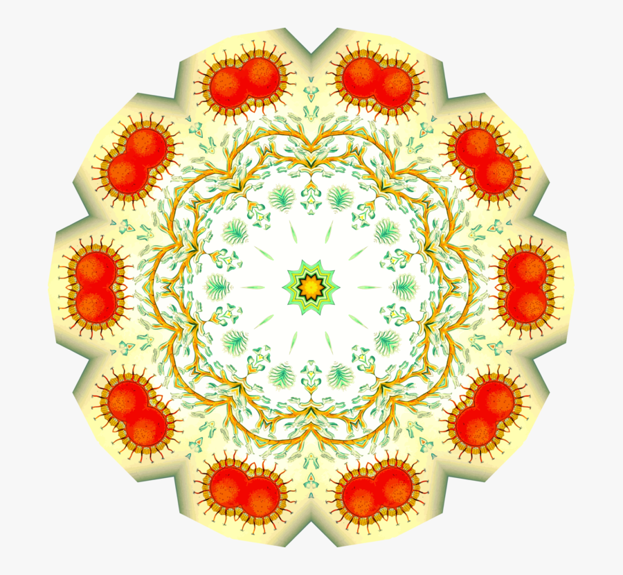 Floral Design,symmetry,cultured Pearl - Stock Illustration, Transparent Clipart