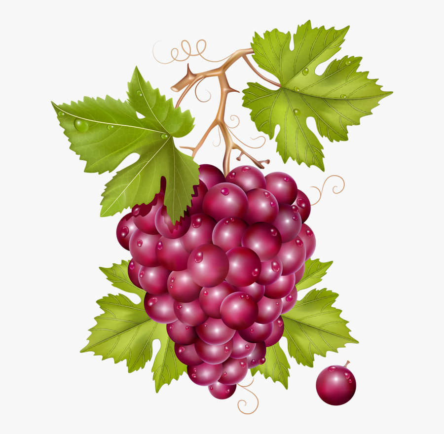Red Grape Png Vector, Transparent Clipart