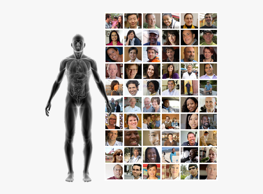 Figura Humana, Transparent Clipart