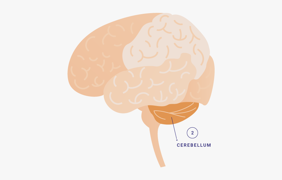 Illustration, Transparent Clipart