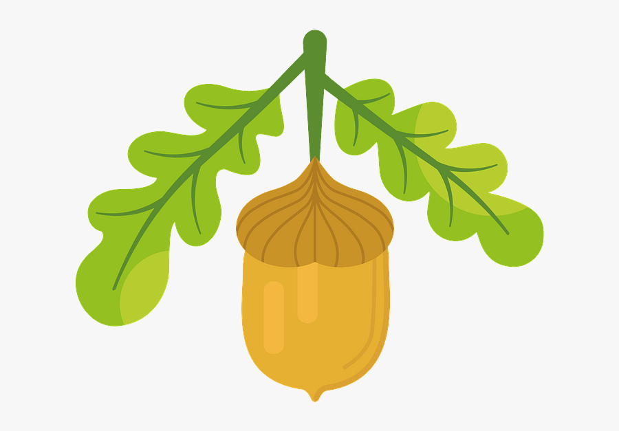 Illustration, Transparent Clipart