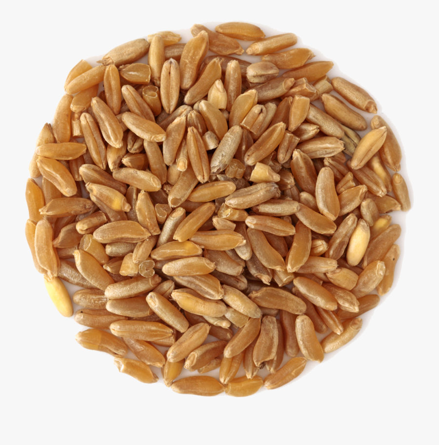 Small Pile Of Grain - Whole Grain, Transparent Clipart