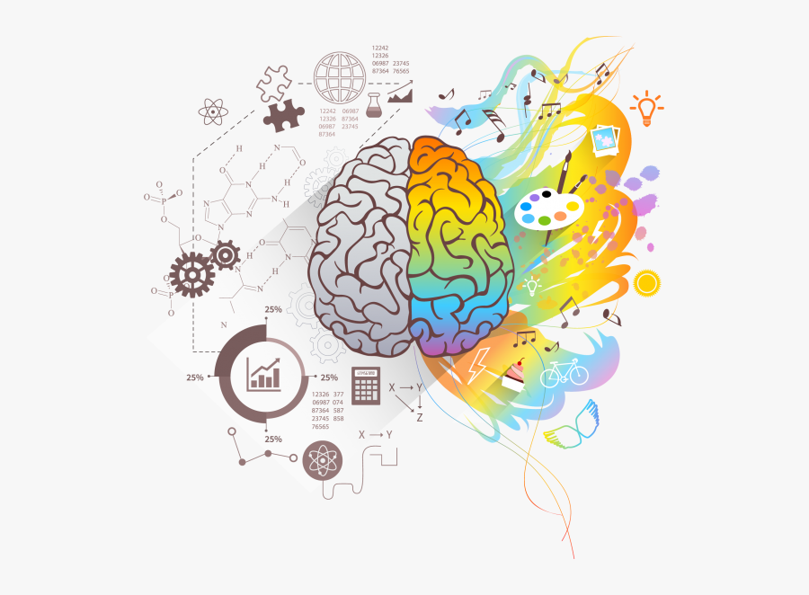 Left Brain Right Brain Transparent, Transparent Clipart