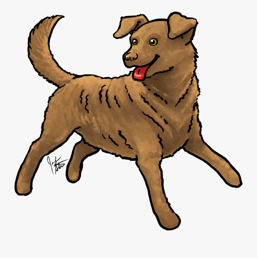 Happy Late 4th Of July Everyone This Month I Picked - Companion Dog, Transparent Clipart