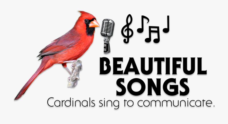 Pt58xdegc - Shure Super 55, Transparent Clipart