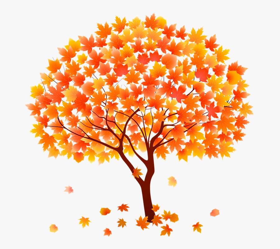 Autumn Tree Vector Png, Transparent Clipart